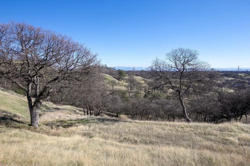 Lots & Land-Other in Cottonwood