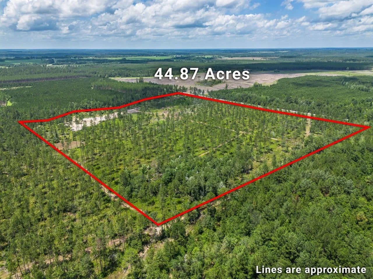 44.87 +/- Acres Recreational Land for Sale in Telfair County, GA - Jacksonville, Georgia, 31544