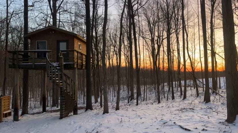 29.8±-Acre Secluded Retreat w/Unique Treehouse & Airbnb Potential – Massac County