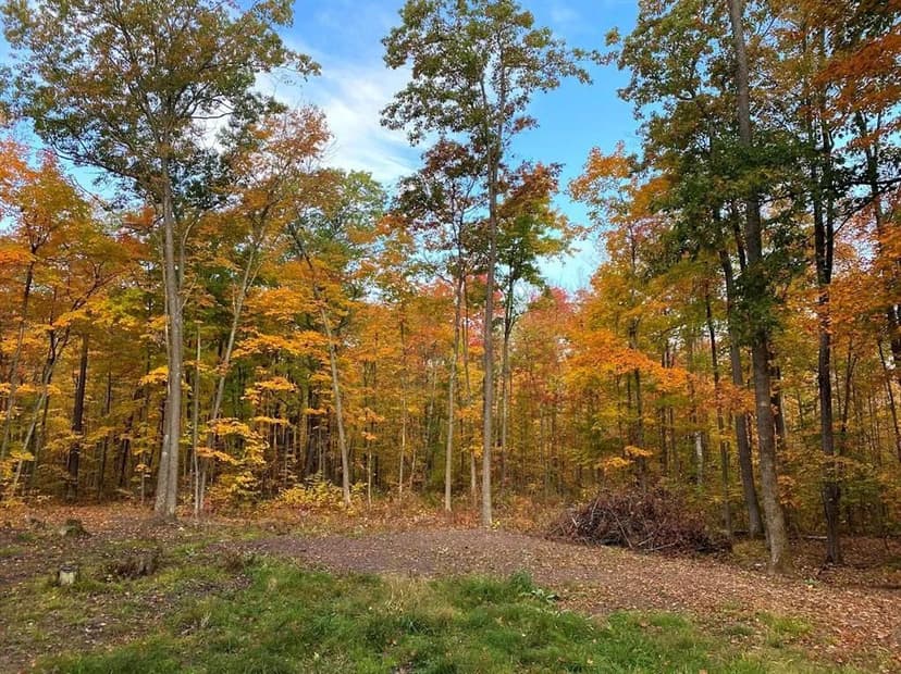 Vacant Land in Stone Lake