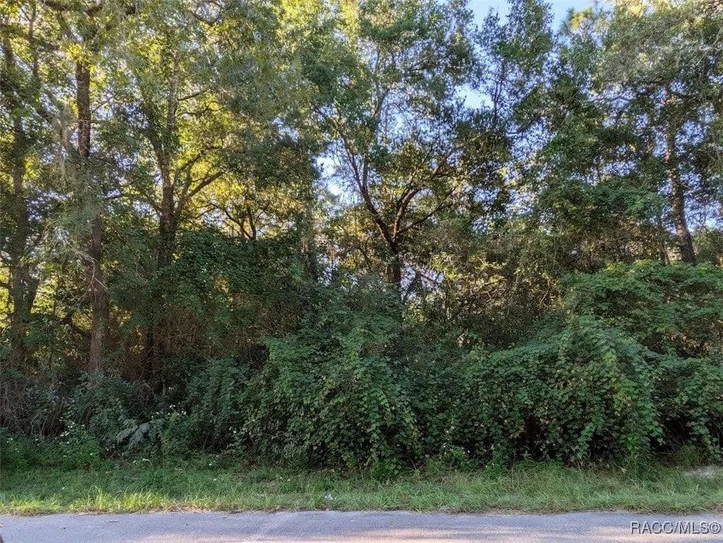 Lots & Land-Other in Inverness - Inverness, Florida, 34453