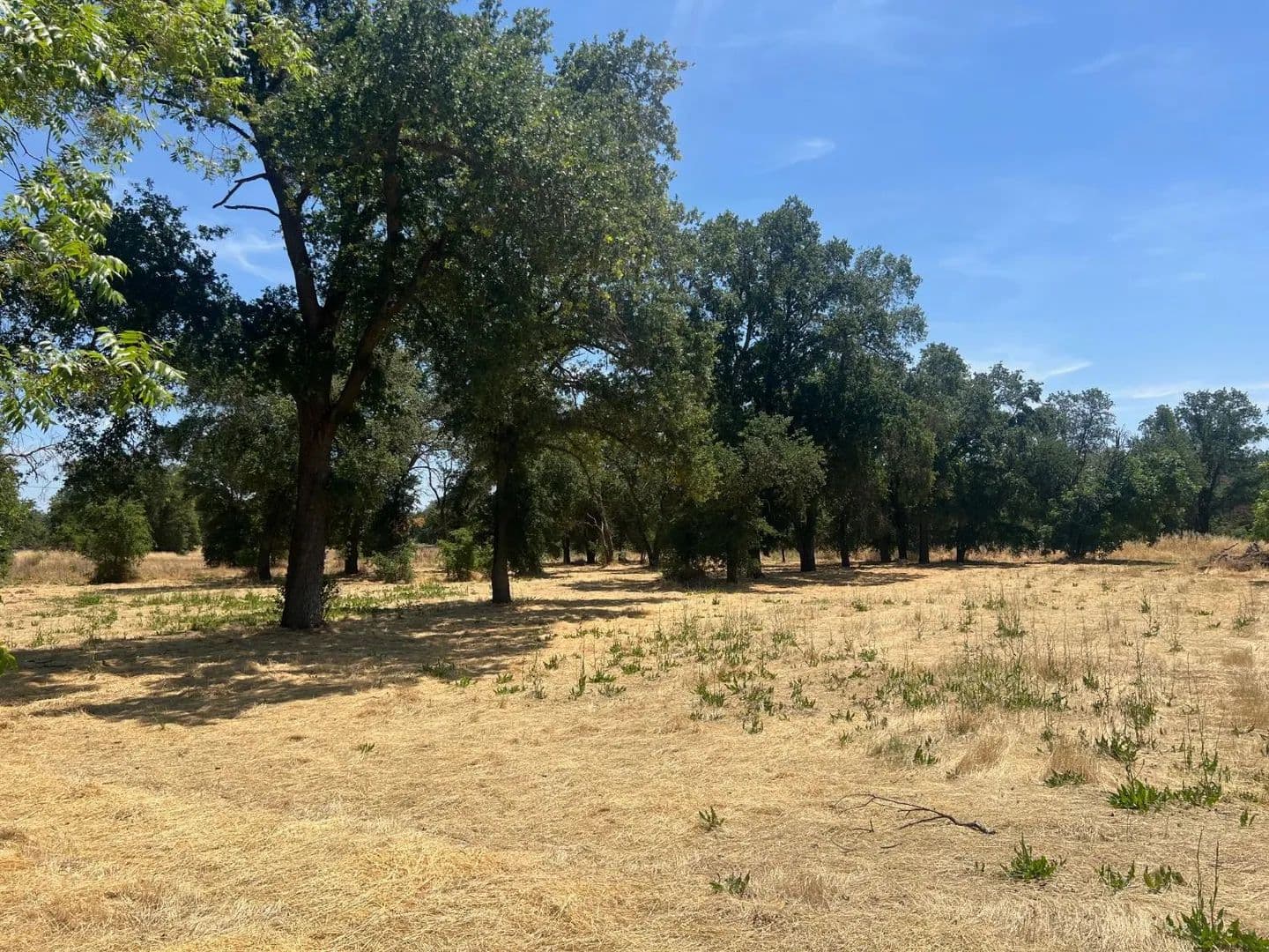 Property from 0 Dry Creek Road - KW - Rio Linda, California, 95673