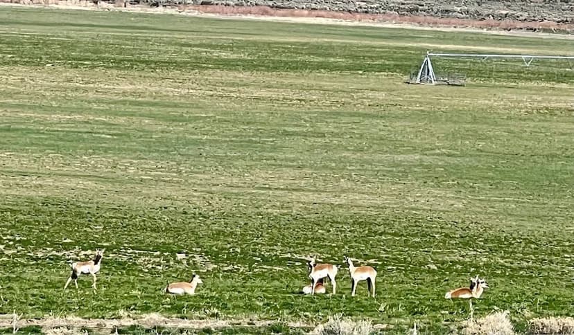 Property from TDB- 20 Acre Parcel - KW