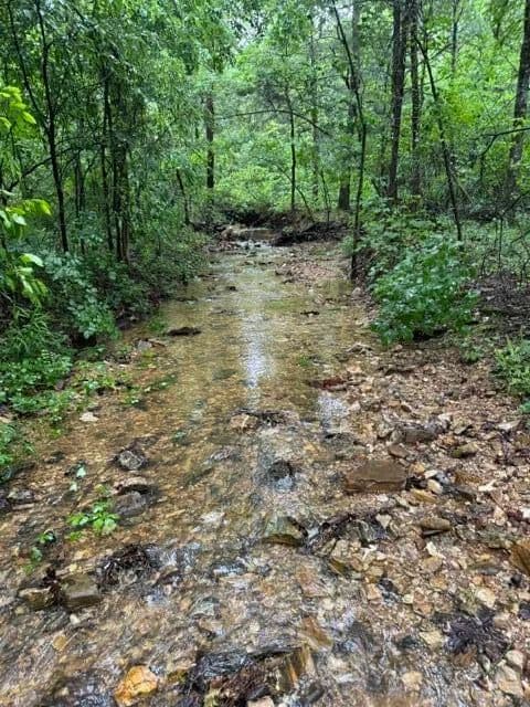 Property from 645 Savage Road - KW - Kirbyville, Missouri, 65679