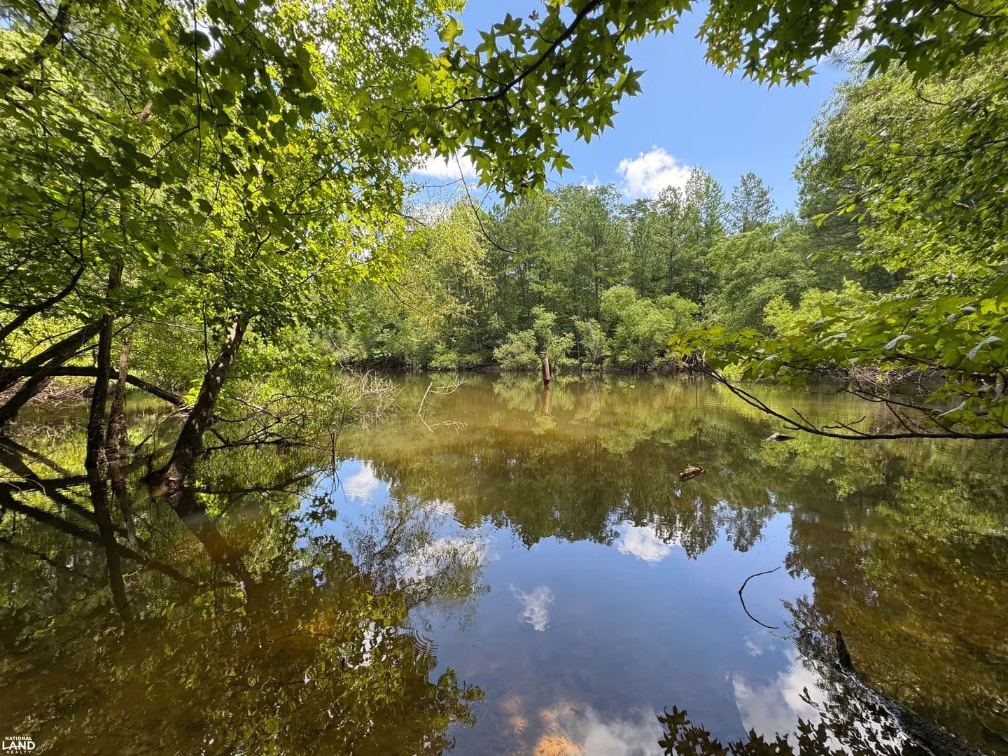 126 Acres Hunting Property - Clanton, Alabama, 35046