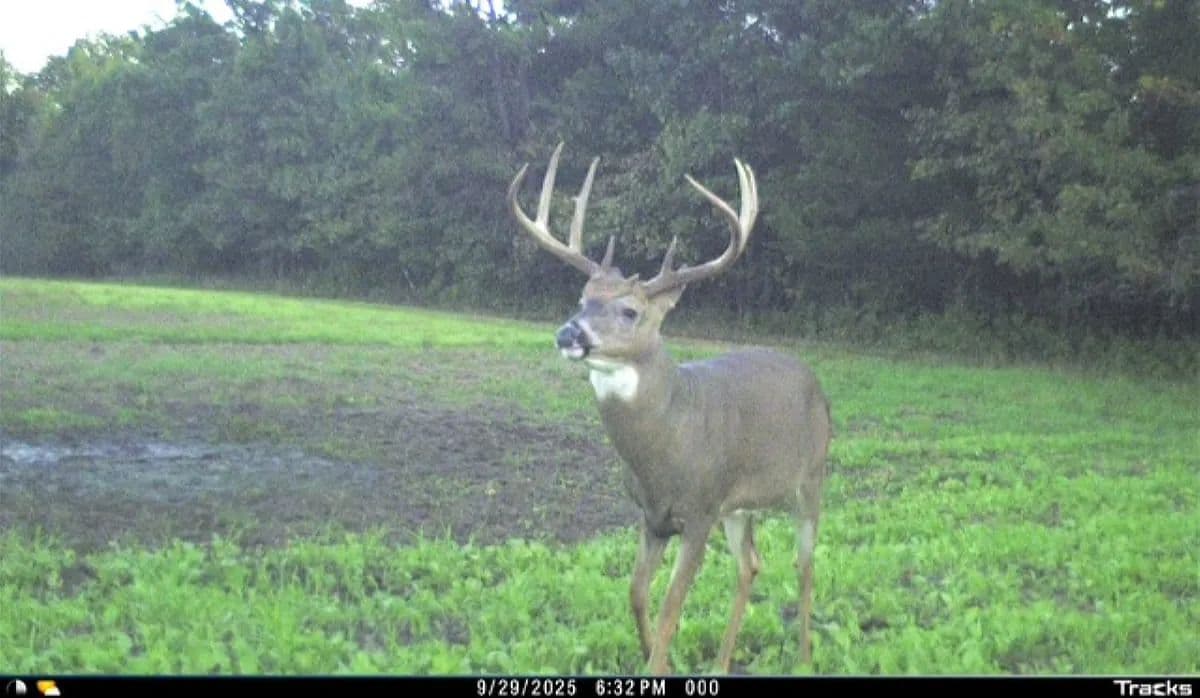 30-Acre Hunting & Camping Retreat with Food Plots, Well & RV Hookups | Adams County, Wisconsin - Adams, Wisconsin, 53910