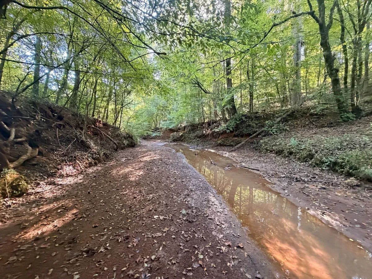 Red Creek Farms - Forsyth, Georgia, 31029