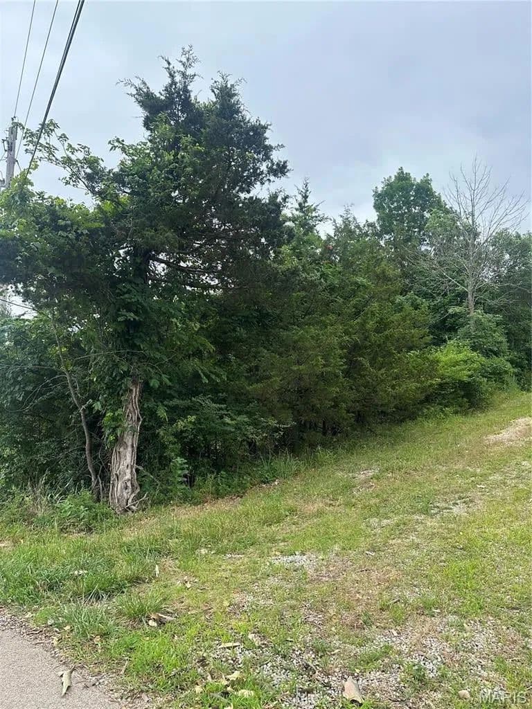 Lots & Land-Other in Bonne Terre - Bonne Terre, Missouri, 63628