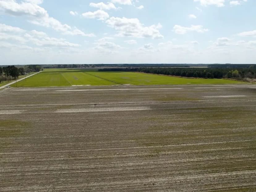 82 acres of Agricultural Land in Gates County, NC!