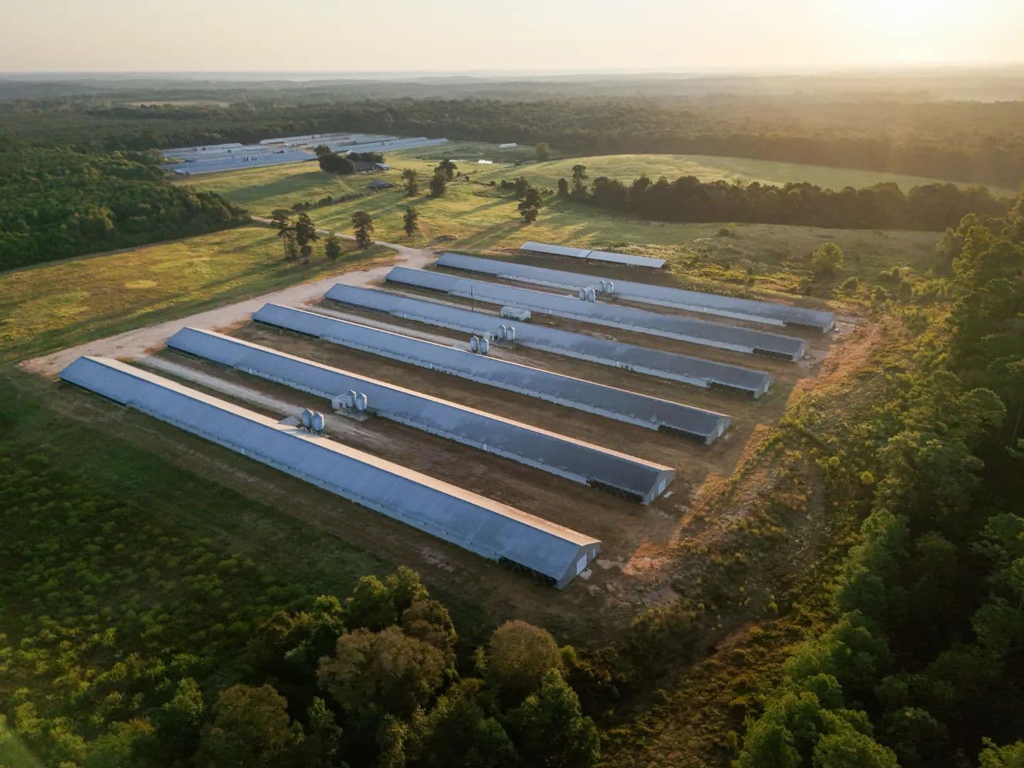 100 Acre Poultry Farm with Two Homes in Union Parish, LA - Bernice, Louisiana, 71222
