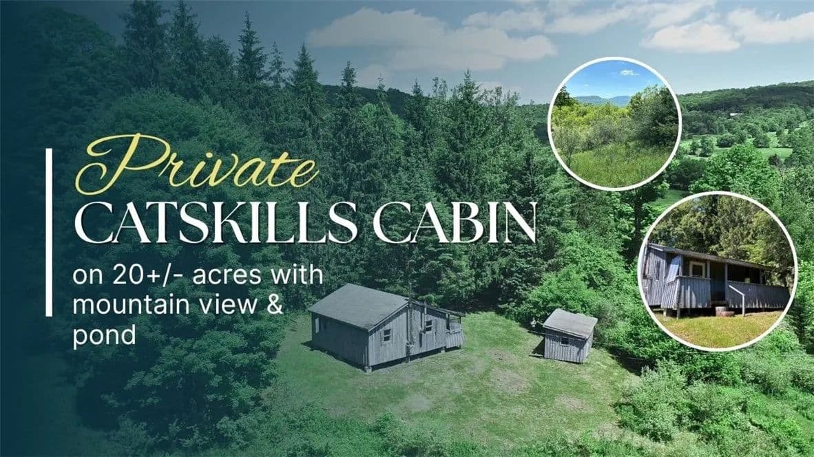 19.83 Acres of Land for Sale in Andes, NY - Andes, New York, 13731