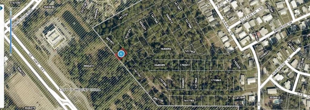 Vacant Land in Mount Dora - Mount Dora, Florida, 32757
