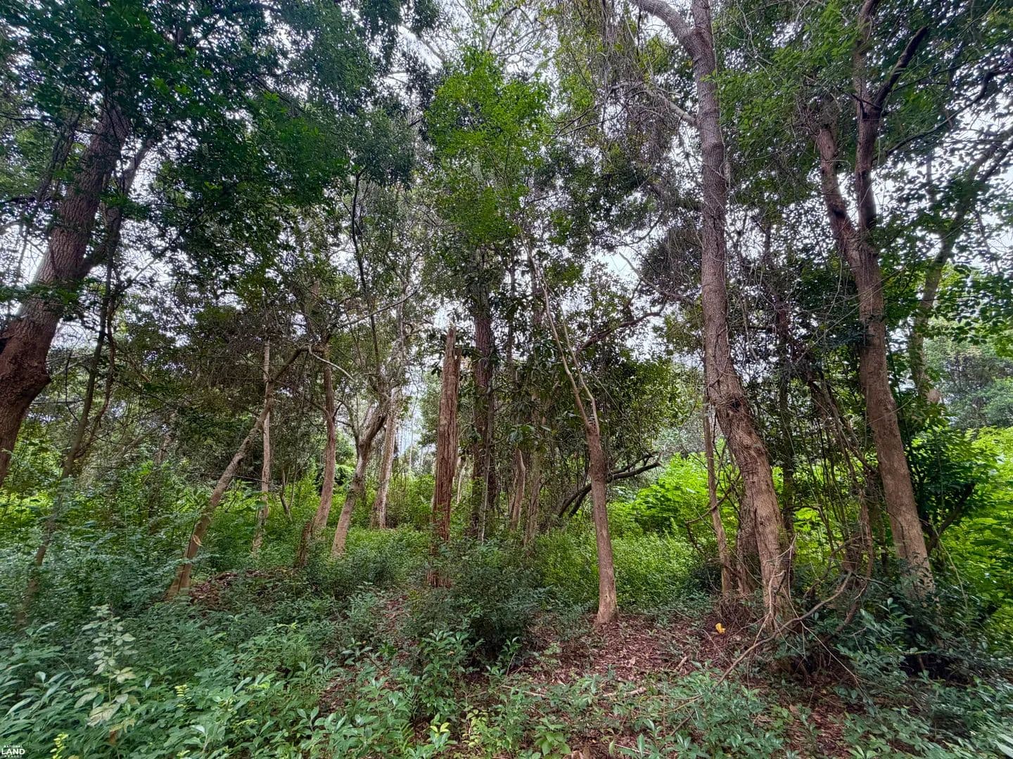 Southwest Pensacola Mixed-Use Lot - land for sale
