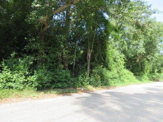 Lots & Land-Other in Sumter