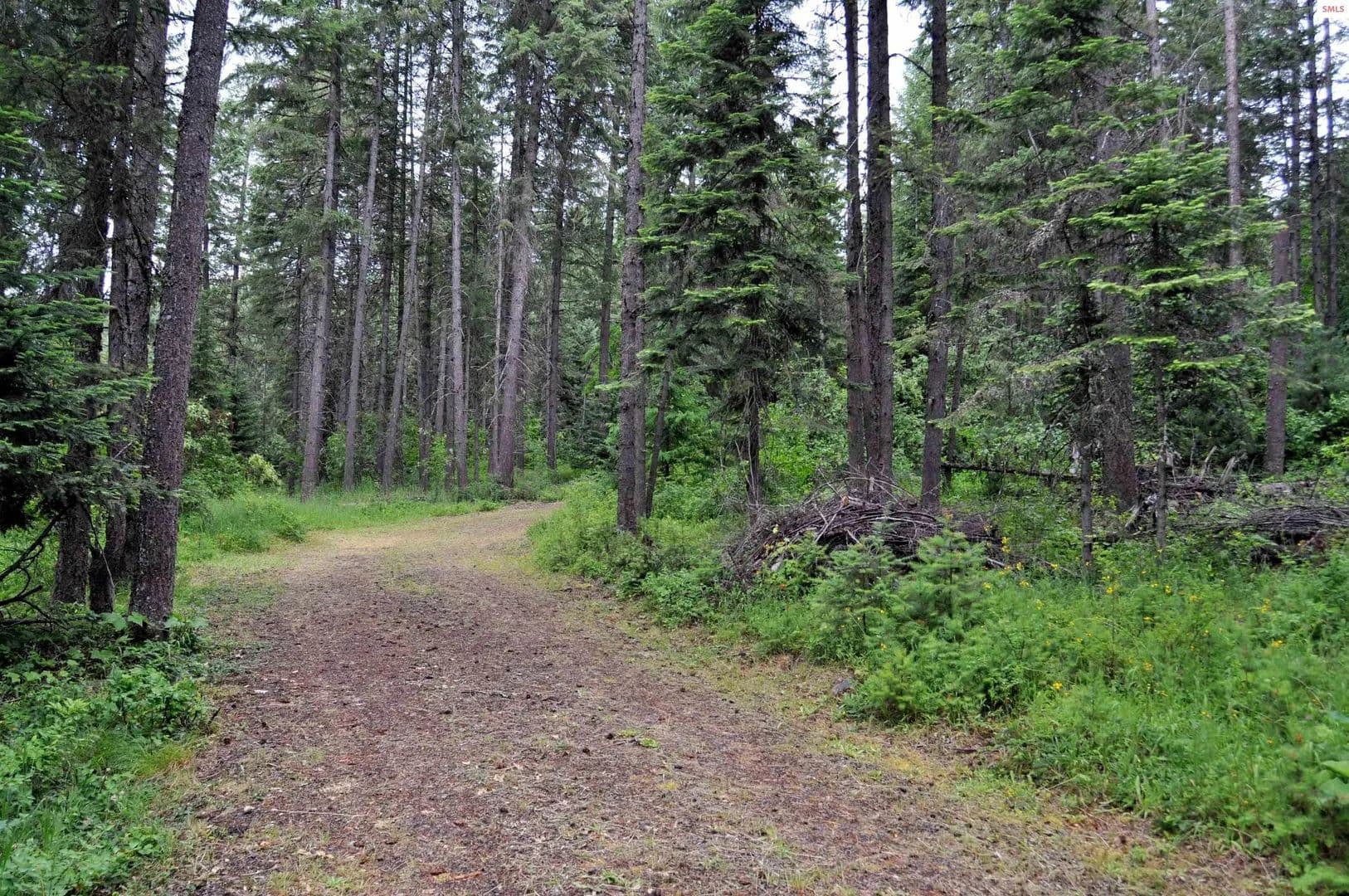 Lots & Land-Other in Clark Fork - Clark Fork, Idaho, 83811