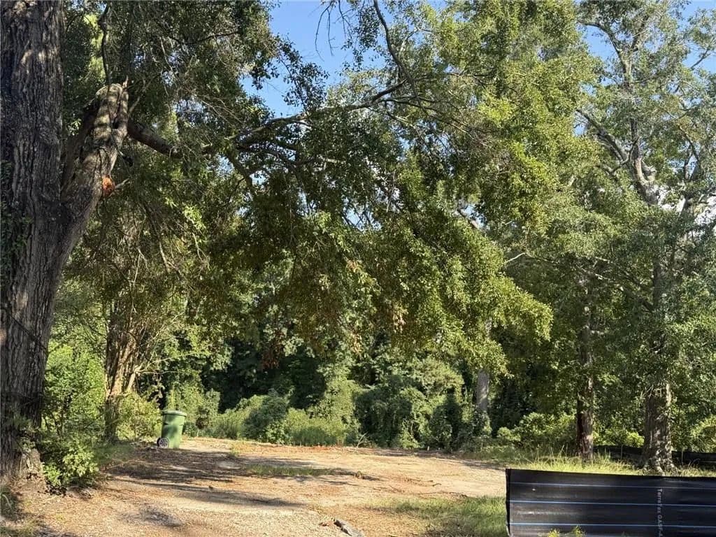 Vacant Land in Atlanta - Atlanta, Georgia, 30331