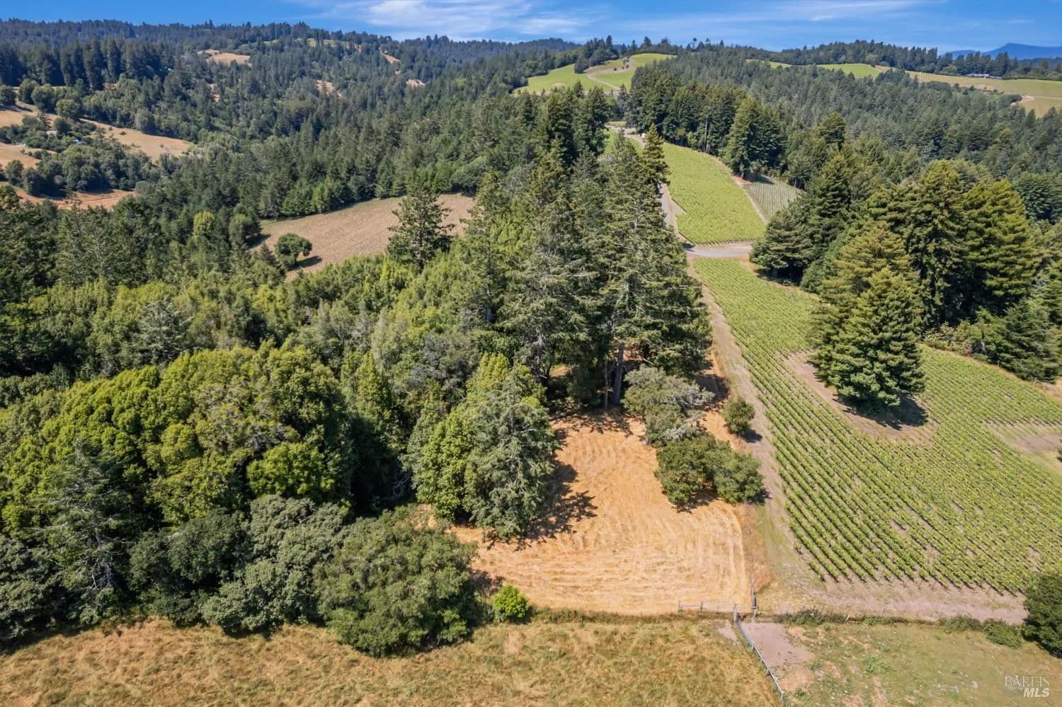 Vacant Land in Freestone - Freestone, California, 95472