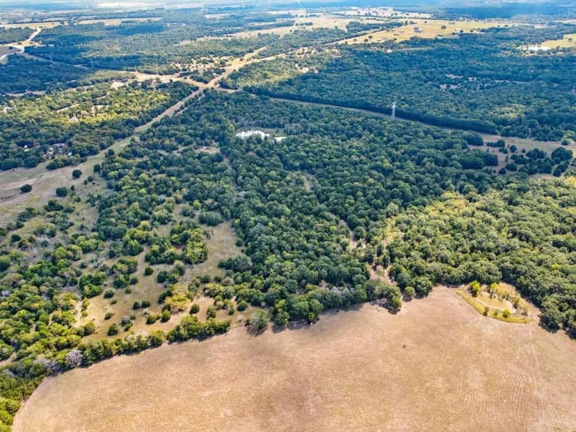 49-Acre Ag-Exempt -- Adjoining Acreage Available!