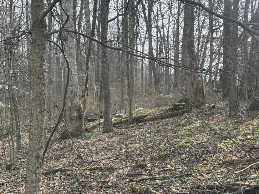 Vacant Land (0-10 Acres) in Butler