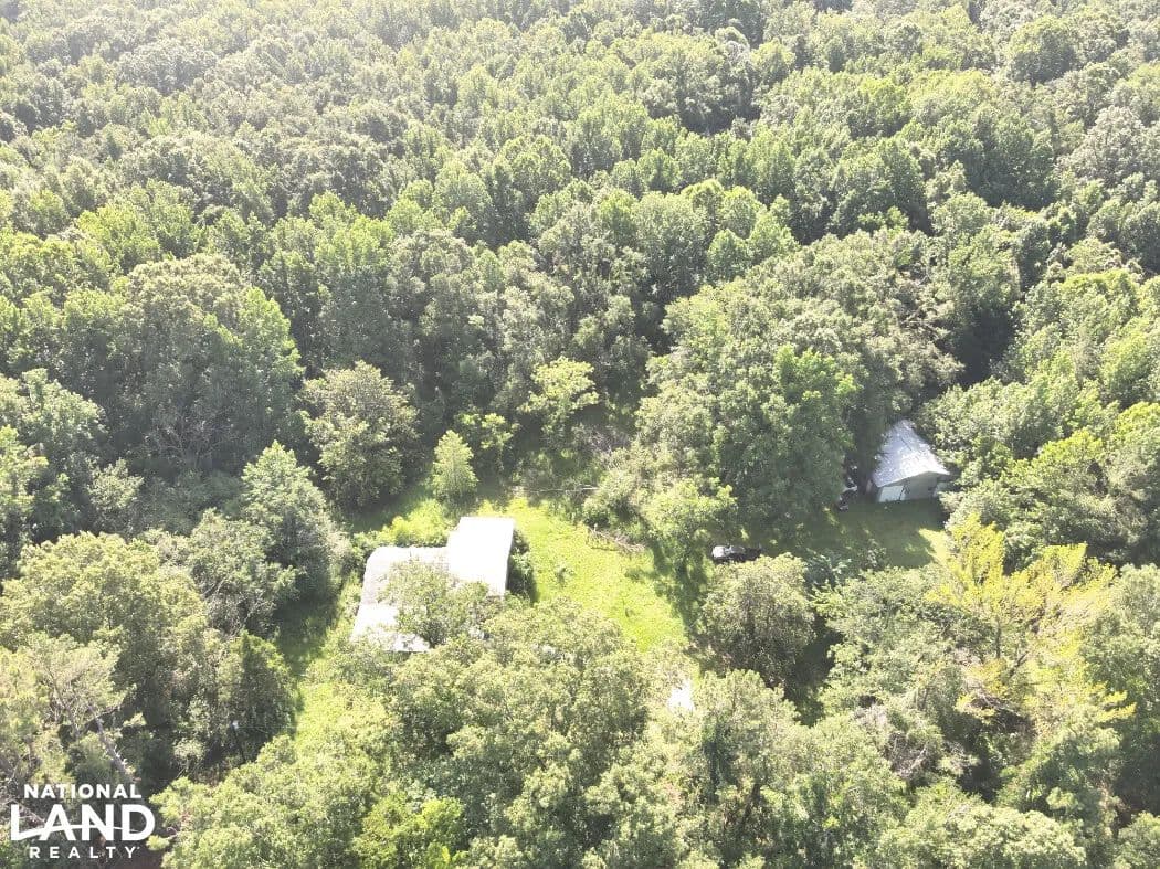 Highway 17 Homesite & Recreation Tract - Carrollton, Mississippi, 38917
