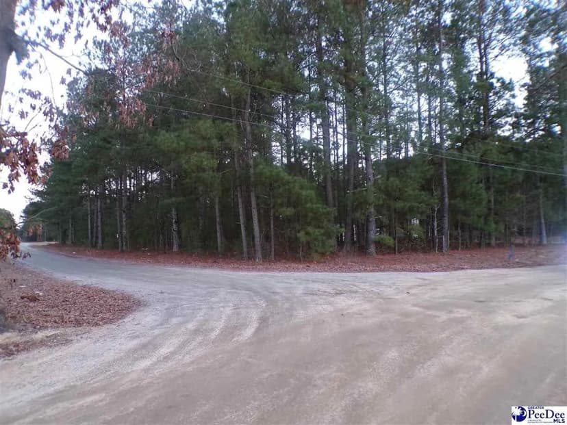 Lots & Land-Other in Dillon