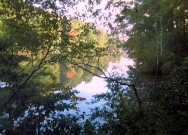 Land -Agricultural (Not Zoned) in Cobbs Creek