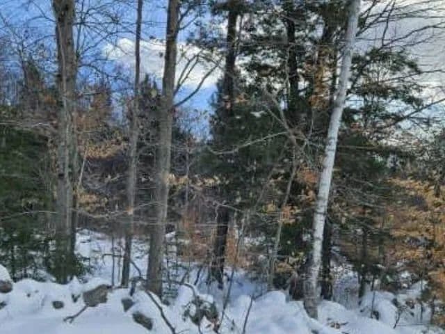 Vacant Land in Weare - Weare, New Hampshire, 03281