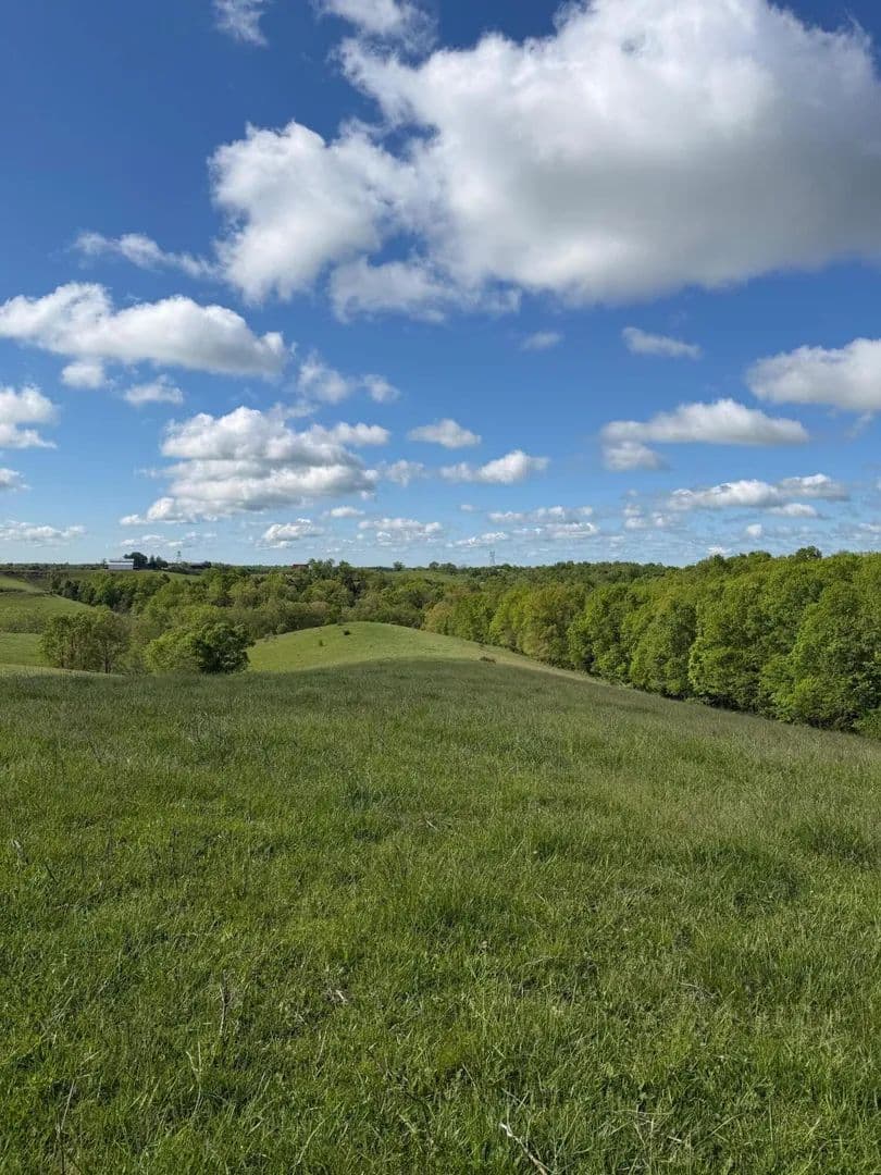 Vacant Land in Williamstown