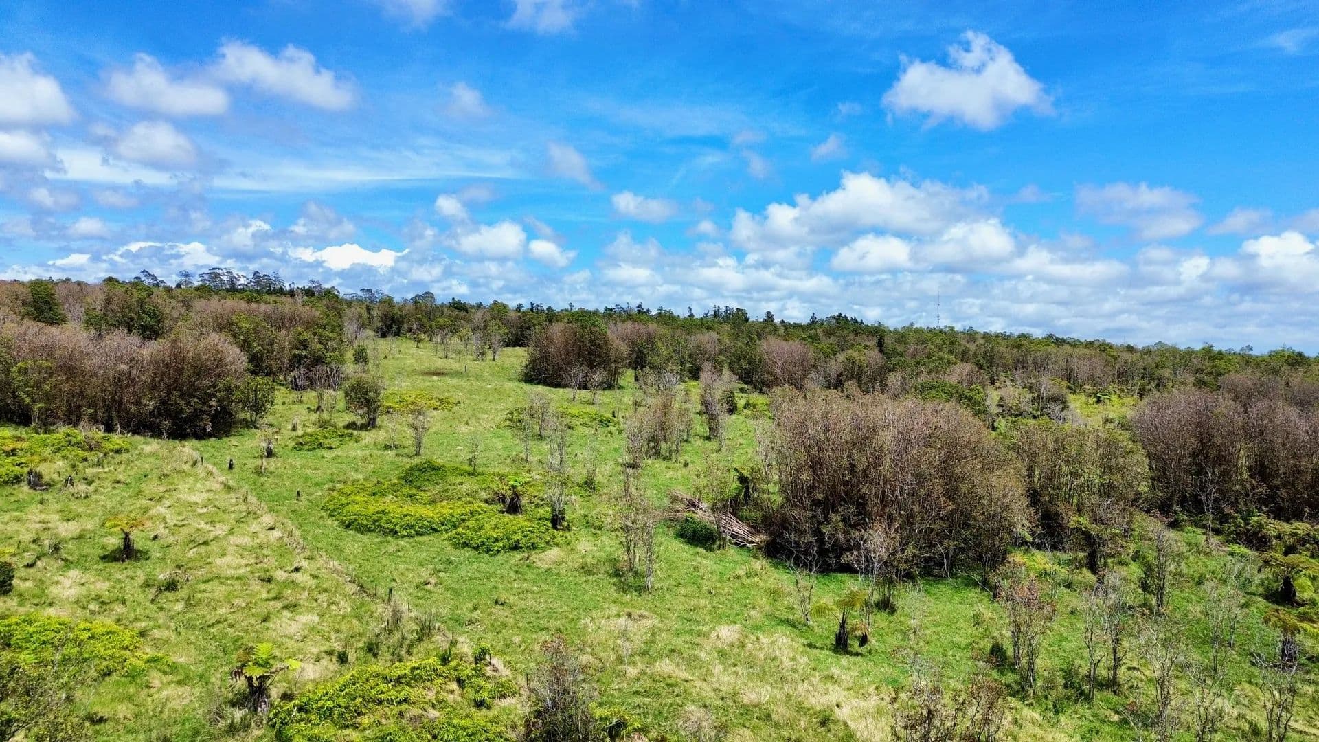 10 Acres of Land for Sale in Mountain View, HI - Mountain View, Hawaii, 96785