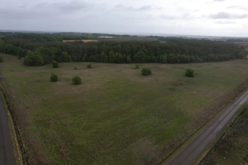 40 Acres in Quitman County in Sledge, MS