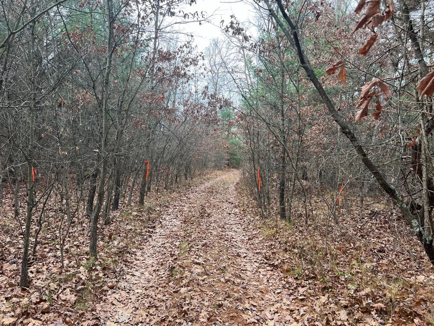 Vacant Land in Whitehall - Whitehall, Michigan, 49461