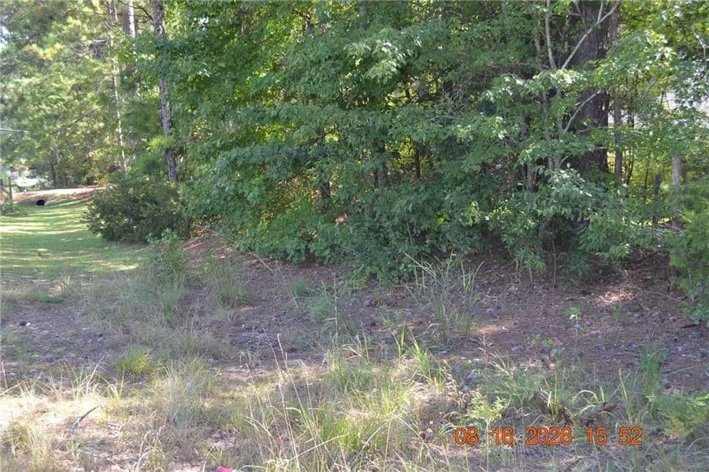 Vacant Land in Salem - Salem, Alabama, 36874