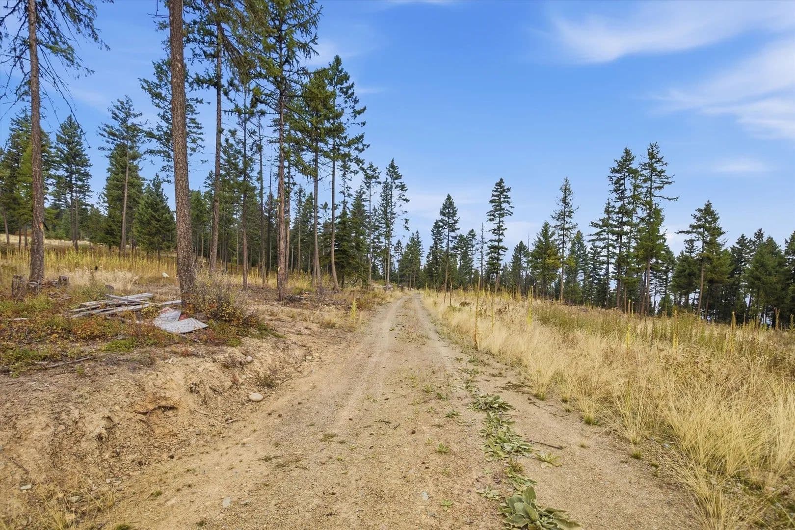16.16 Acres of Land for Sale in Libby, MT - Libby, Montana, 59923