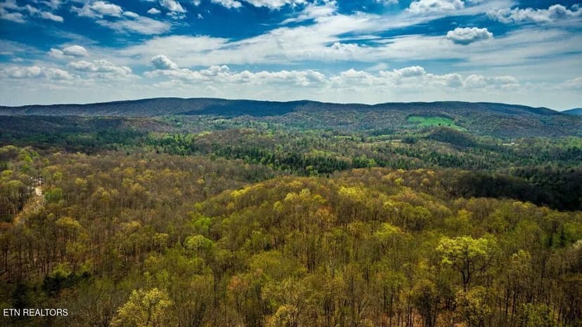 Lots & Land-Other in Harriman