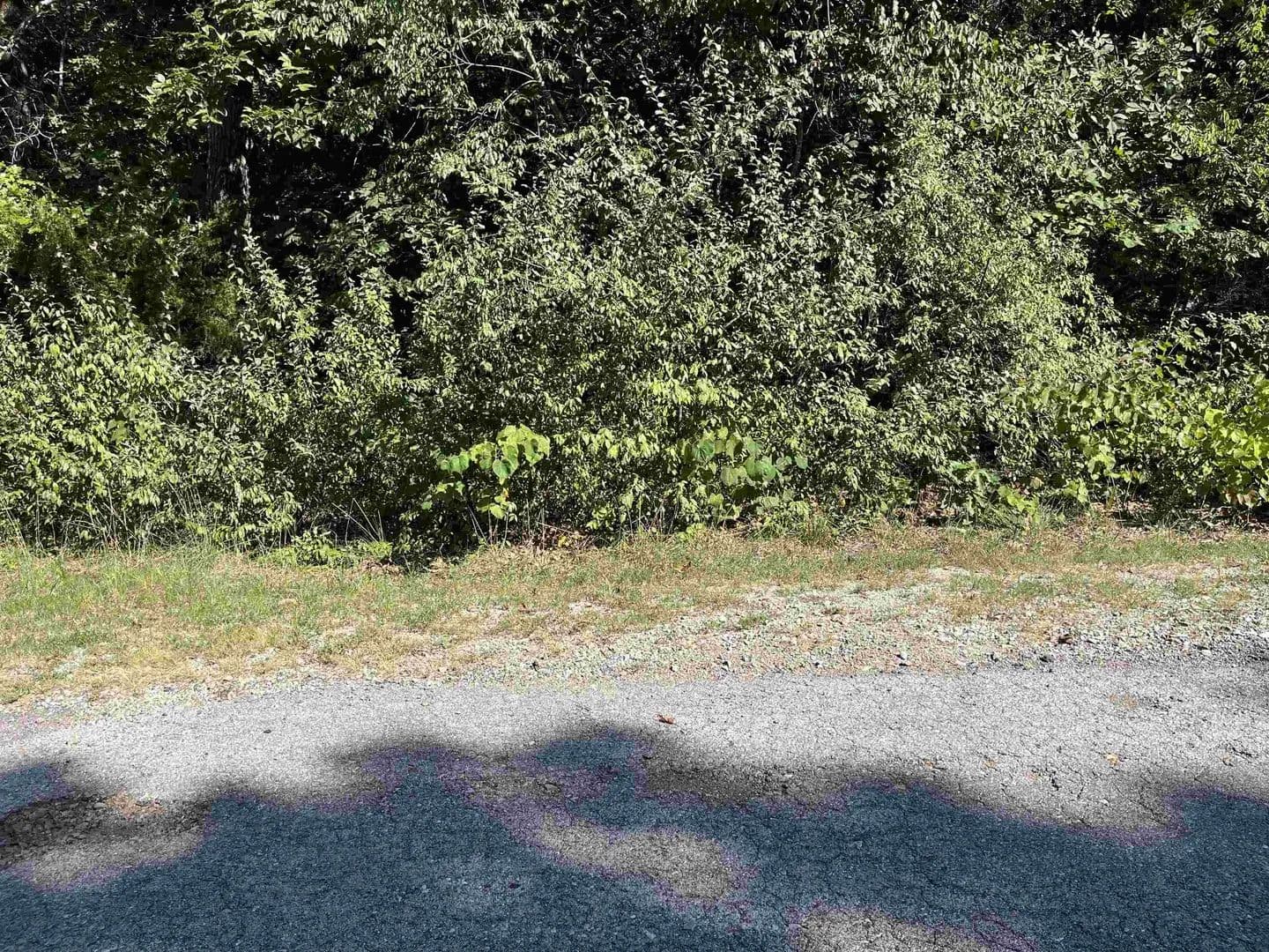 Lots & Land-Other in Cherokee Village - Cherokee Village, Arkansas, 72529