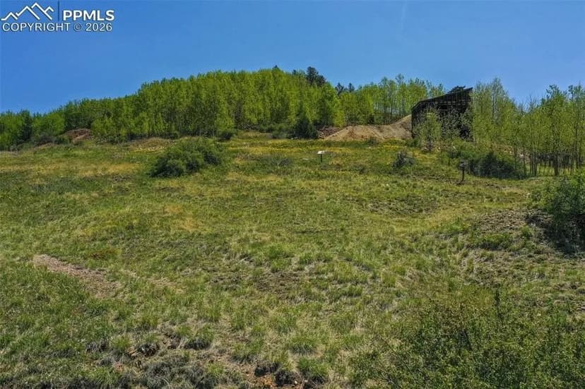 Lots & Land-Other in Cripple Creek