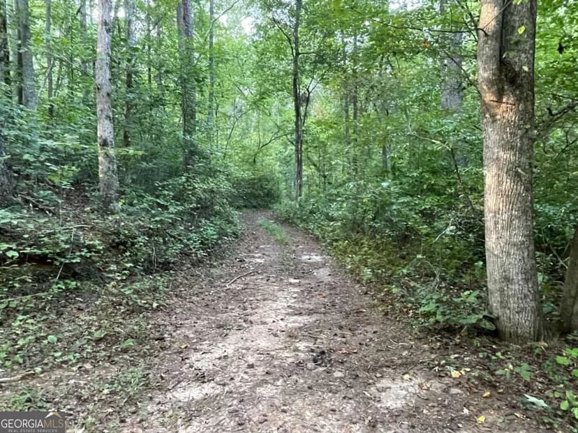 Property from 201 Black Bear Trace - KW