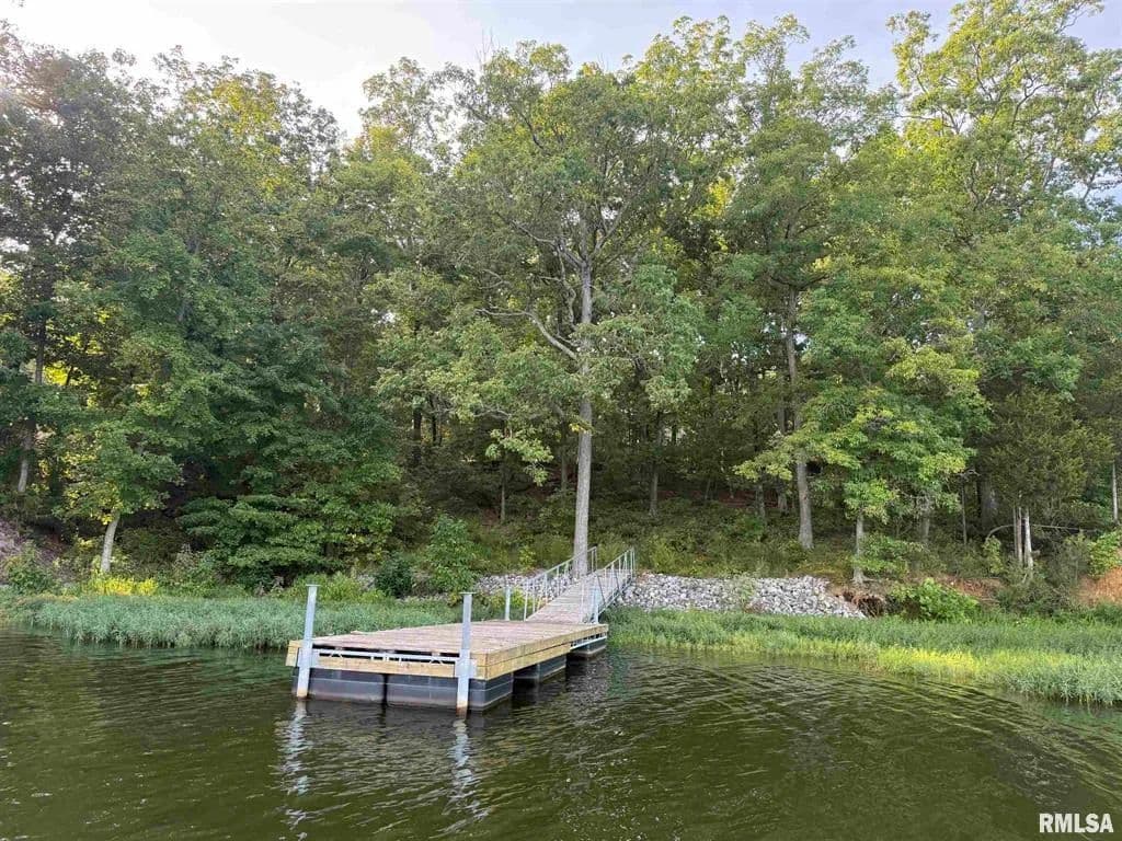 Vacant Land in Goreville - Goreville, Illinois, 62939