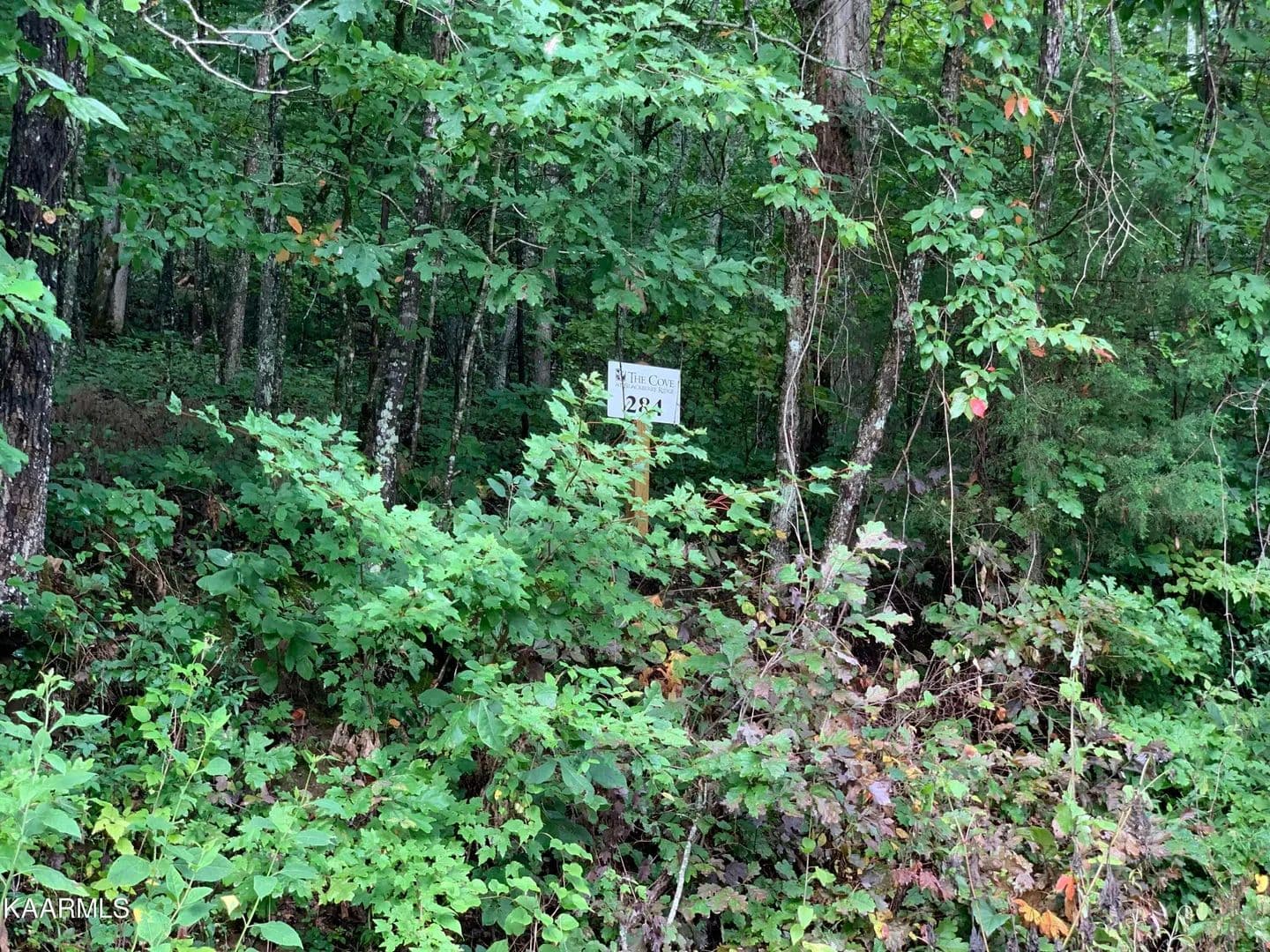 Lots & Land-Other in Loudon - Loudon, Tennessee, 37774