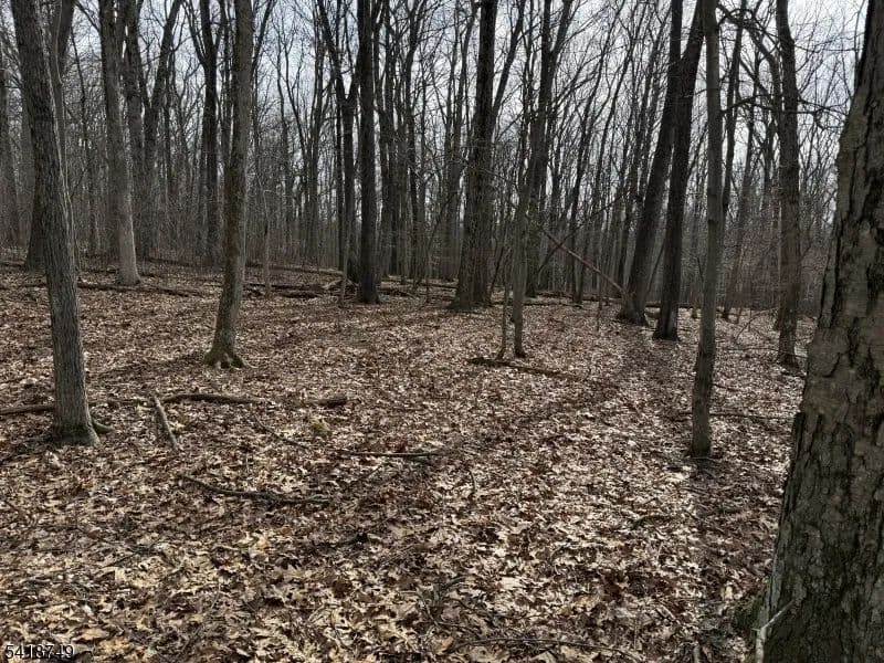 Vacant Land in Chester Twp.