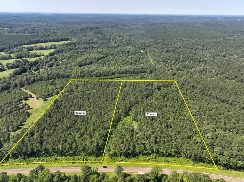 13 Acres | T-2 | Highway 87 | 1001