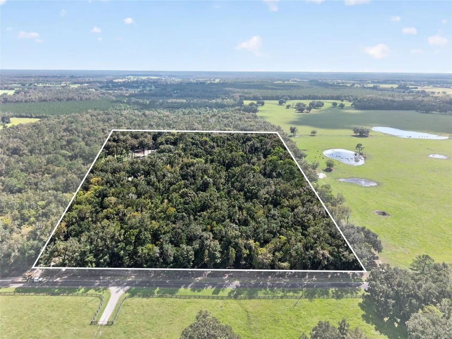 57.59 Acres of Land for Sale in MORRISTON, FL - Morriston, Florida, 32668
