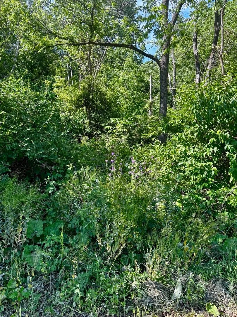 Vacant Land in Kildeer - Kildeer, Illinois, 60047