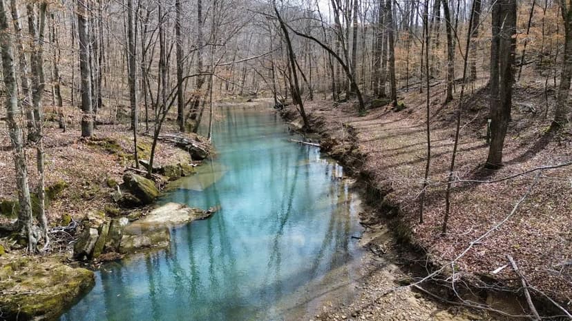 The Retreat at Bankhead National Forest