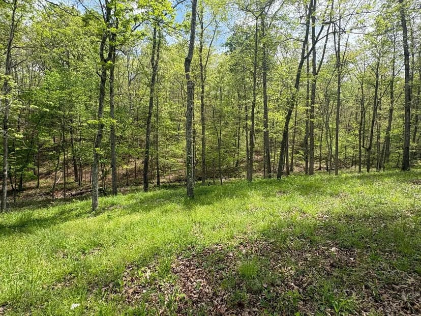 Secluded Loft-Style Home on 160+/-AC in Reynolds Co.