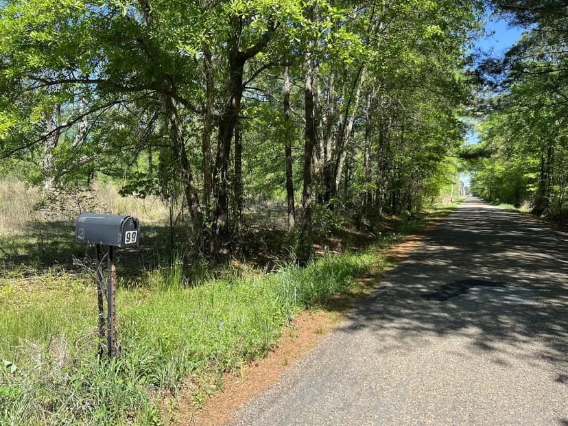 Boggy Creek East