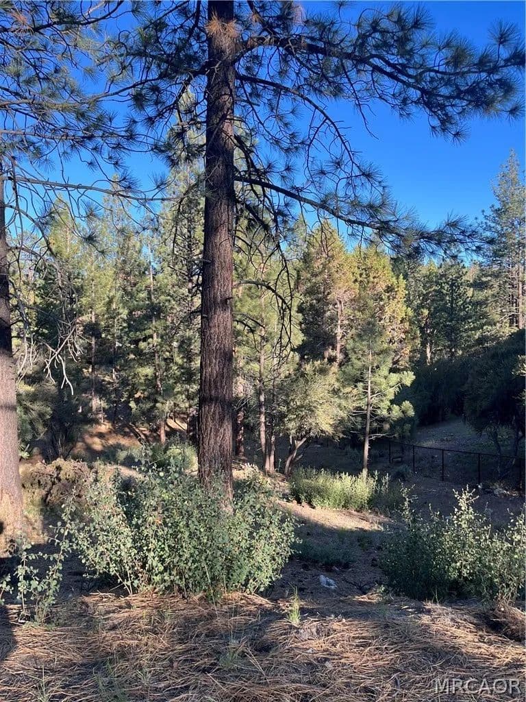 Property from 545 Division Drive - KW - Big Bear City, California, 92314