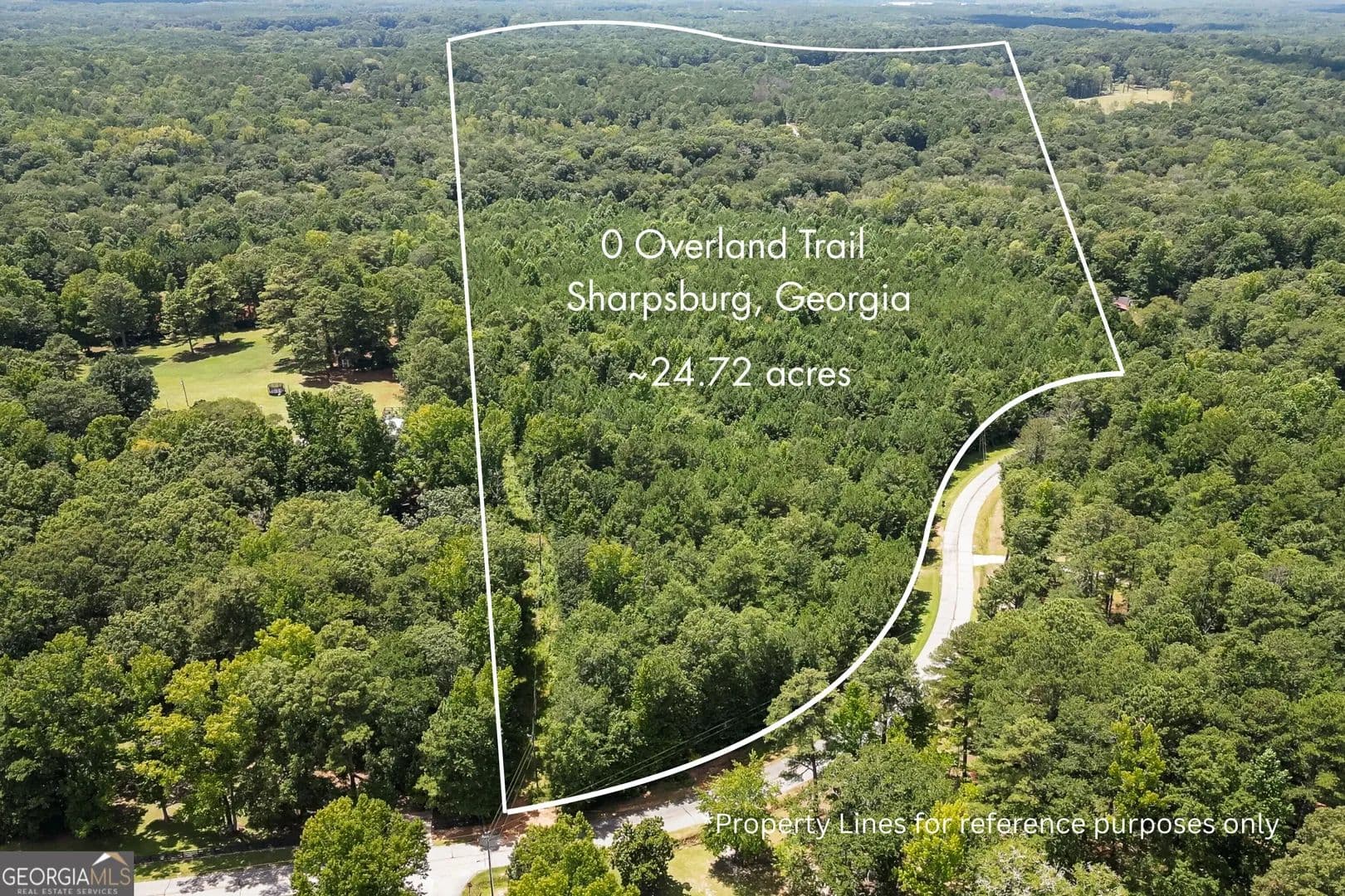 24.72 Acres of Land for Sale in Sharpsburg, GA - Sharpsburg, Georgia, 30277