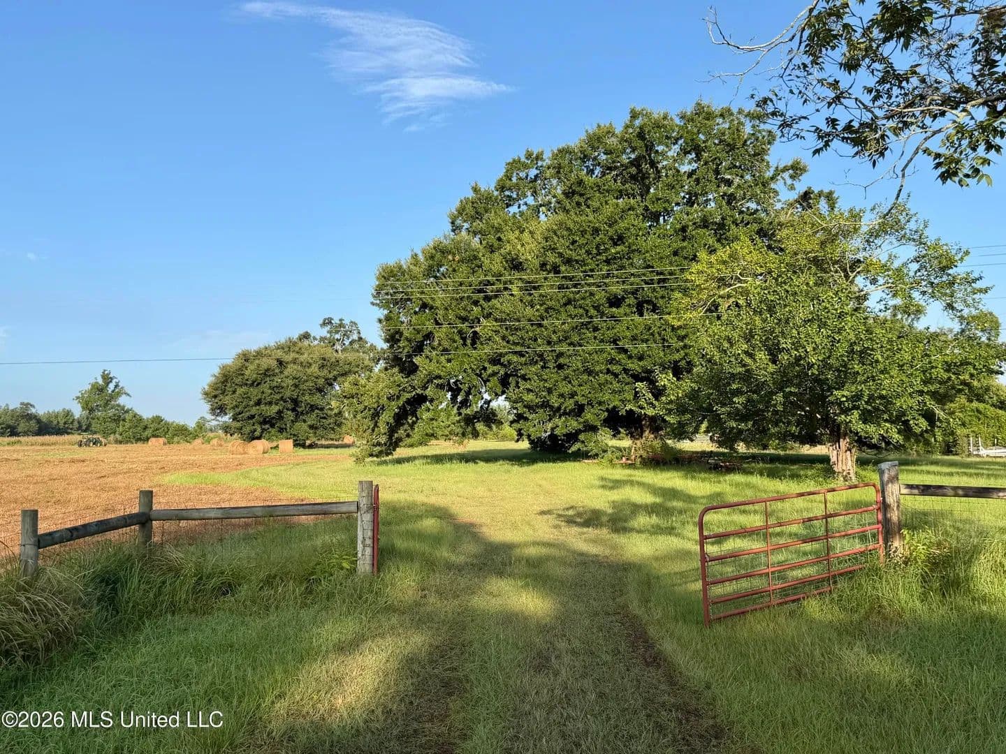 Lots & Land-Other in Neely - Neely, Mississippi, 39461