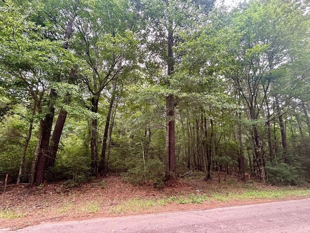 0.9 Acres of Land for Sale in Zavalla, Texas - land for sale